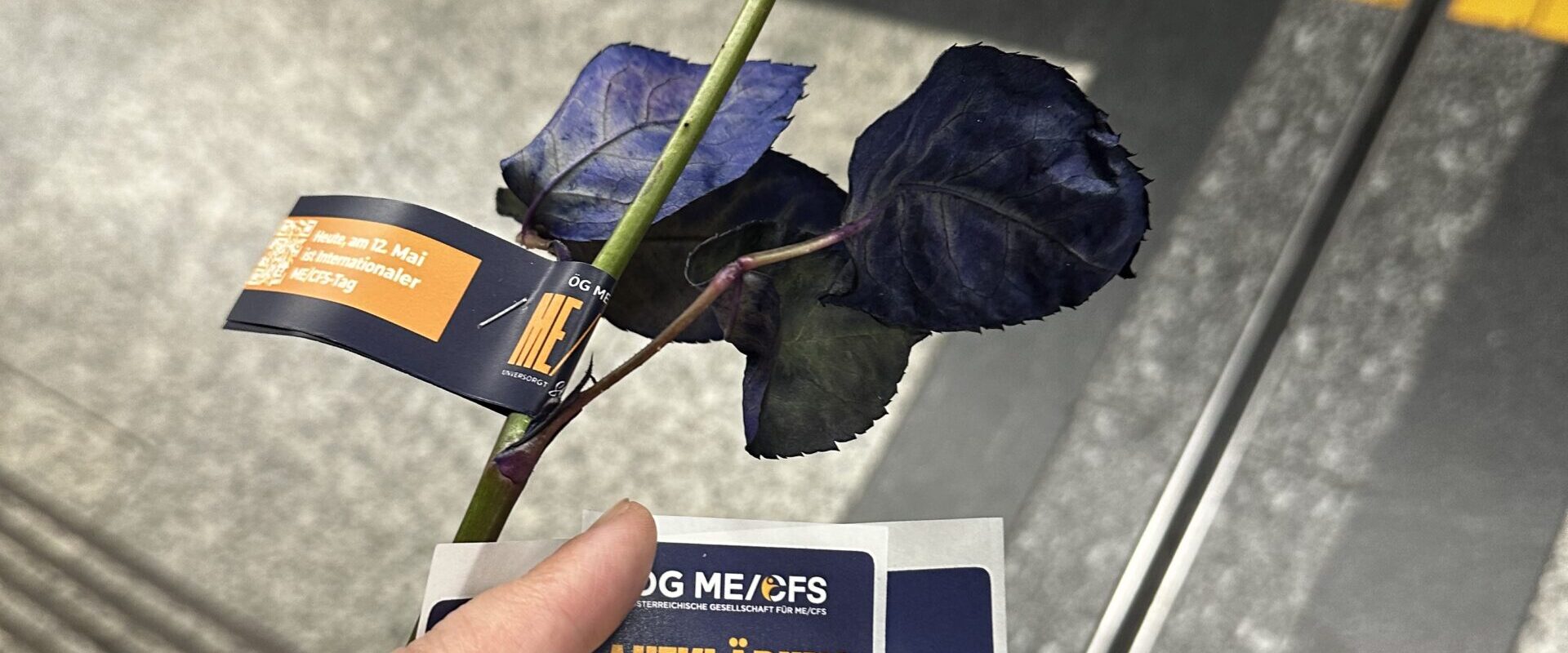 Eine Hand hält am Bahnsteig eine violette Rose und eine Karte der ME/CFS-Awareness-Kampagne. Auf der Karte sind die Forderungen „Aufklärung“, „Versorgung“ und „Forschung“ zu lesen. Im Hintergrund sieht man den grauen Bahnsteigboden mit gelber Sicherheitslinie.