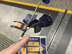 Eine Hand hält am Bahnsteig eine violette Rose und eine Karte der ME/CFS-Awareness-Kampagne. Auf der Karte sind die Forderungen „Aufklärung“, „Versorgung“ und „Forschung“ zu lesen. Im Hintergrund sieht man den grauen Bahnsteigboden mit gelber Sicherheitslinie.