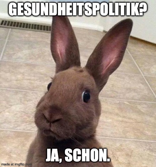 Meme mit einem braunen Hasen, der mit großen Augen direkt in die Kamera blickt. Oben steht in weißer Großschrift „GESUNDHEITSPOLITIK?“, unten „JA, SCHON.“.