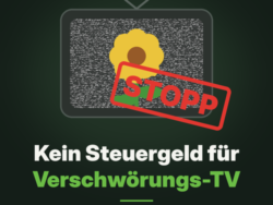Grafik auf dunkelgrünem Hintergrund: Ein alter Röhrenfernseher zeigt Bildrauschen, darin eine gelbe Blume. Über dem Bildschirm klebt ein schräger roter Stempel mit der Aufschrift „STOPP“. Oben steht „Landesgartenschau-Werbung auf RTV“, darunter in großer Schrift „Kein Steuergeld für Verschwörungs-TV“. Am unteren Rand: „Ralph Schallmeiner · Grüne Wels Land“ sowie „Quelle: Verfassungsschutzbericht 2025 der DSN, S. 53 f.“